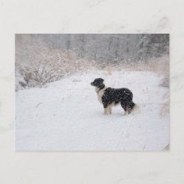 Het sneeuw Briefkaart van Border collie