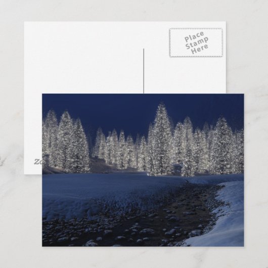 Het sneeuw Briefkaart van de Nacht (Voorkant / Achterkant)