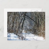 Het sneeuw Briefkaart van het Bos (Voorkant / Achterkant)
