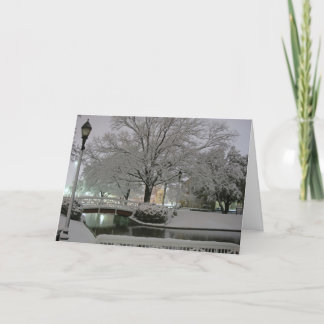 Het sneeuw wenskaart van Kerstmis van het Park Feestdagen Kaart