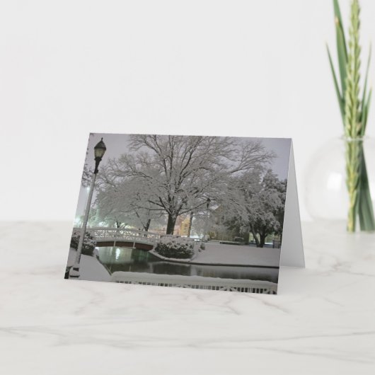 Het sneeuw wenskaart van Kerstmis van het Park Feestdagen Kaart (Voorkant)