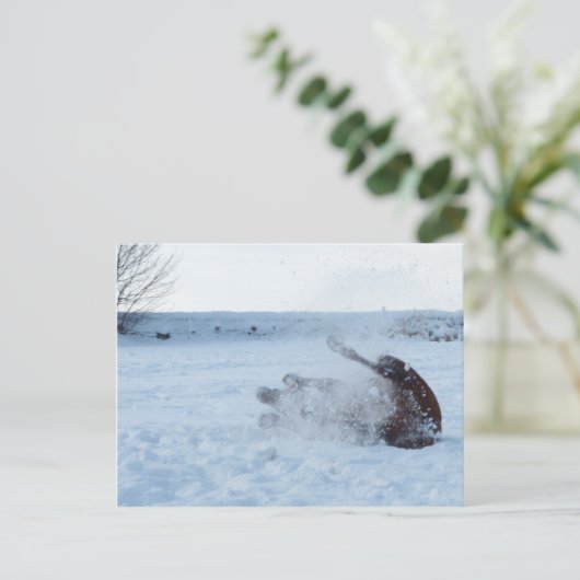 Het sneeuwbad - briefkaart (Staand voorkant)