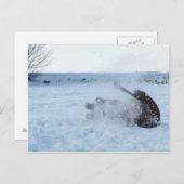 Het sneeuwbad - briefkaart (Voorkant / Achterkant)