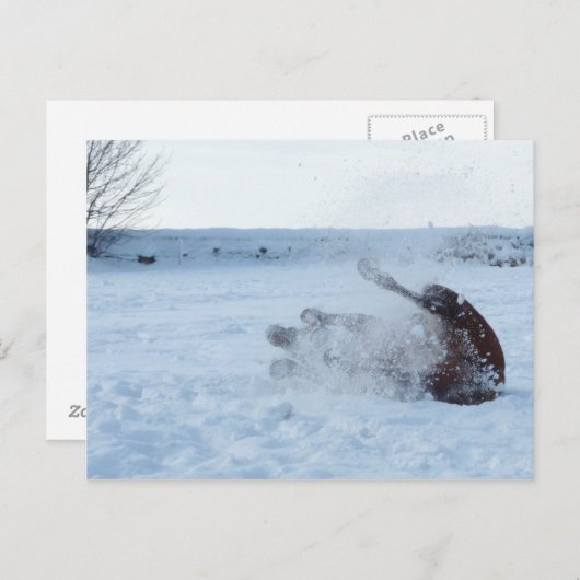 Het sneeuwbad - briefkaart (Voorkant / Achterkant)