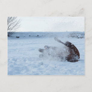 Het sneeuwbad - briefkaart