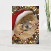 Het Snoep van Kerstmis van de chow-chow Feestdagen Kaart (Voorkant)