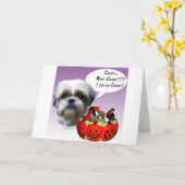 Het Snoep van Shih van Tzu (natuurlijk) Halloween Kaart (Gele Bloem)