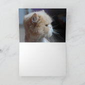 Het snorren-fect-snorren het Wenskaart van de Kaart (Binnen)