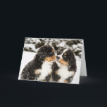 Het Snuifje van de Marionetten van de Hond van de Kaart<br><div class="desc">De sneeuw bernese marionetten van de berghond snuiven elke anderen</div>