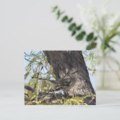 Het Solitaire Briefkaart van Townsend (Staand voorkant)