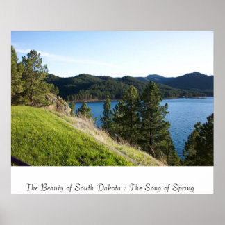 Het Song van de Lente Poster