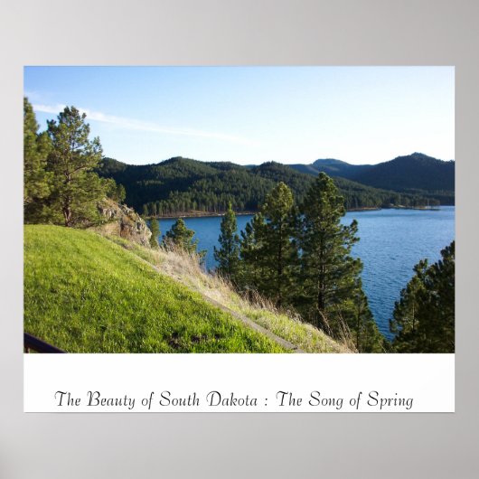 Het Song van de Lente Poster (Voorkant)