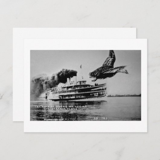 Het soort oplichters dat we zien briefkaart (Voorkant / Achterkant)