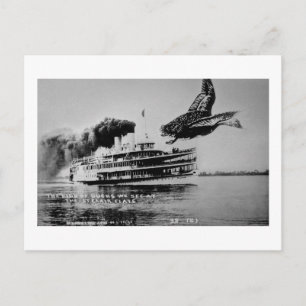 Het soort oplichters dat we zien briefkaart