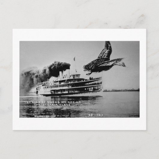 Het soort oplichters dat we zien briefkaart (Voorkant)