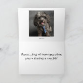 Het Soort van de broek… Belangrijk Kaart (Binnen)