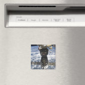 Het Soyuz TMA-19-ruimtevaartuig Magneet (Insitu (Vaatwasser))