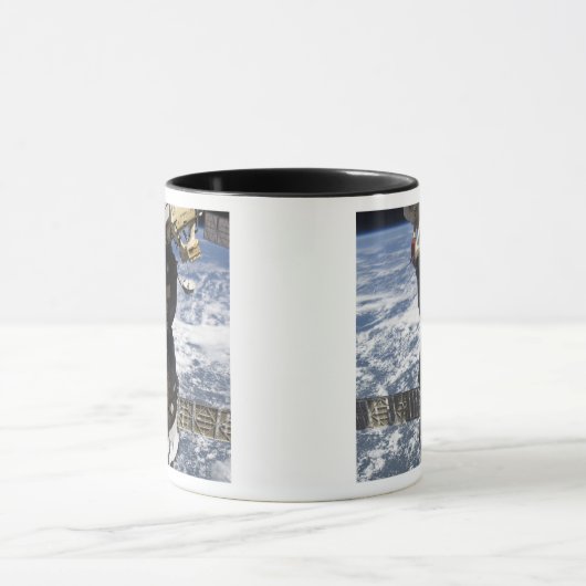 Het Soyuz TMA-19-ruimtevaartuig Mok (Midden)