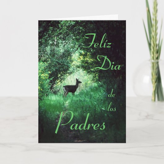 Het Spaans: Dia del Padre/Vaderdag Kaart (Voorkant)