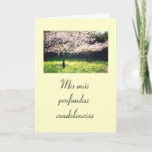 Het Spaans: Pesame /Sympathy Kaart (Voorkant)