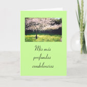 Het Spaans: Pesame /Sympathy Kaart (Voorkant)