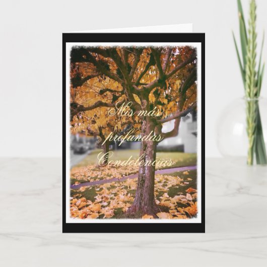 Het Spaans: sympathie kaart (Voorkant)