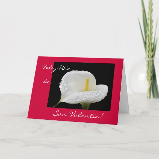Het Spaans: Valentijnsdag/Dia DE San Valentin Feestdagen Kaart (Voorkant)