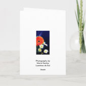 Het Spaans: Verjaardag/cumpleanos Feliz! Kaart (Achterkant)