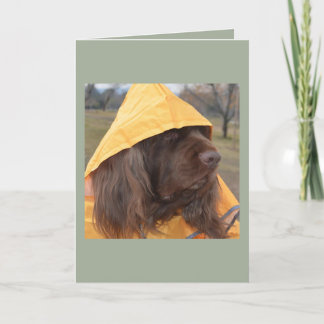 Het Spaniel die van Sussex op de regen wachten Kaart