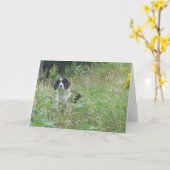 Het spaniel van de lente, wenskaart kaart (Gele Bloem)