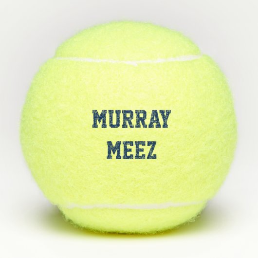 Het Speelgoed van de Bal van het Tennis van de (Voorkant)