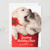 Het speelse "puppy" van Kerstmis in een Rode Feestdagenkaart (Voorkant / Achterkant)