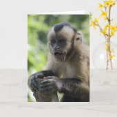 Het speelse Wenskaart van de Aap Kaart (Gele Bloem)