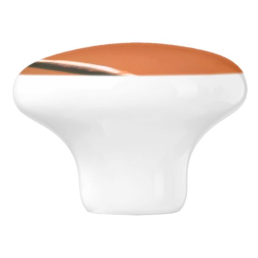 Het spel Ladybugs volgt de Leider dicht Keramische Knop (Zijkant)