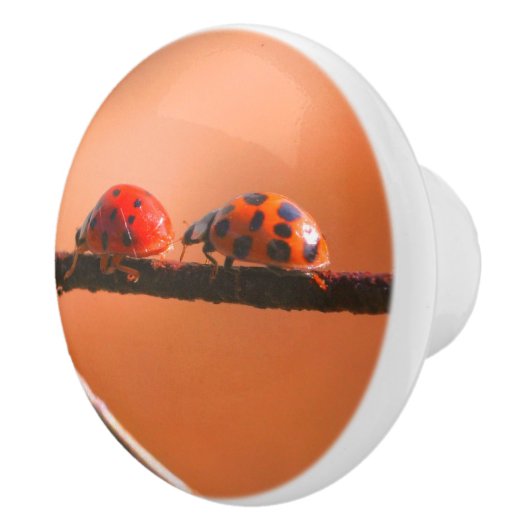 Het spel Ladybugs volgt de Leider dicht Keramische Knop (Rechts)
