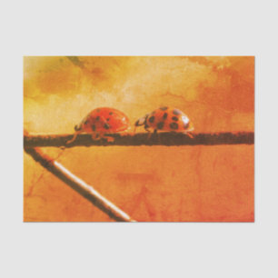 Het spel Ladybugs volgt de Leider Ontkoppeling Tissuepapier