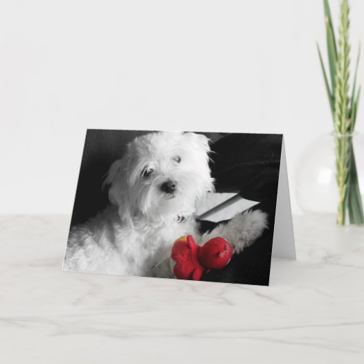 Het Spel van het puppy Kaart (Voorkant)