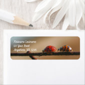 Het spel van Ladybugs volgt het Leader Adres Etiket (Insitu)