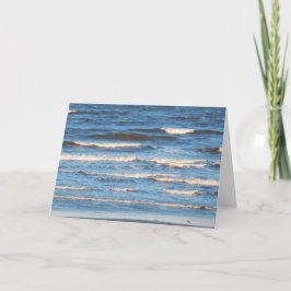 Het spel van twee Vogels in het Surf Kaart