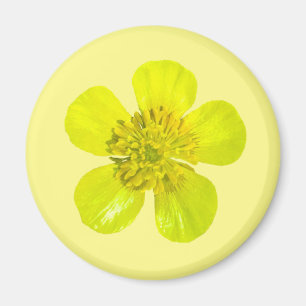 Het spelen Buttercup ventilator - transparant. Magneet