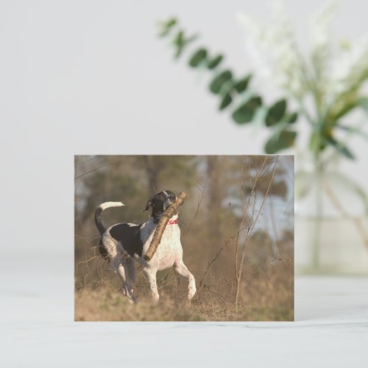 Het spelen fetch briefkaart (Staand voorkant)