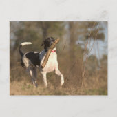 Het spelen fetch briefkaart (Voorkant)