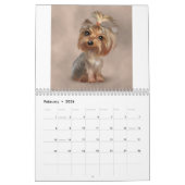 Het spelen in de mazen, de Delen van 2011 Kalender (Feb 2026)