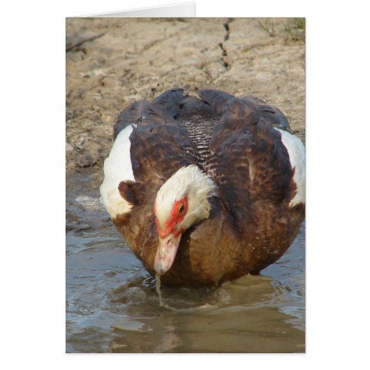 Het spelen in de Puddles (Voorkant)