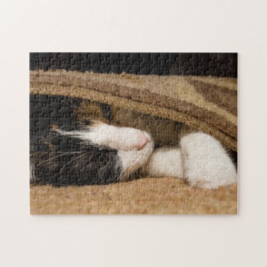 Het spelen onder de Rug Legpuzzel (Horizontaal)