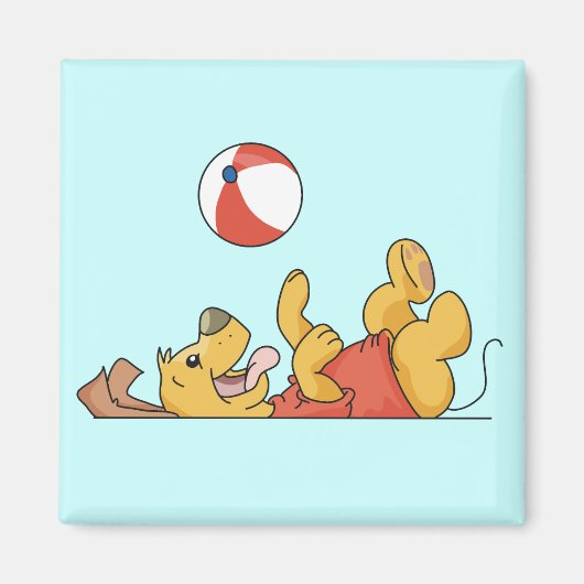 Het Spelen van de hond met de T-shirts en de Magneet (Voorkant)