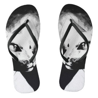 Het Sphynx Kat Katachtig Dier Portret Originele Ku Teenslippers