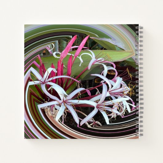 Het spieken..... notitieboek (Achterkant)