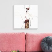 Het spijsverteringsstelsel 1 canvas afdruk (Insitu (Woonkamer))