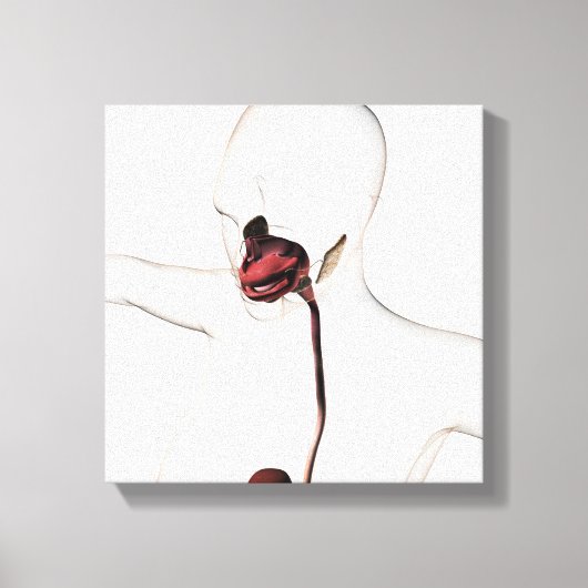 Het spijsverteringsstelsel 3 canvas afdruk (Voorkant)